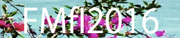FMfI2016